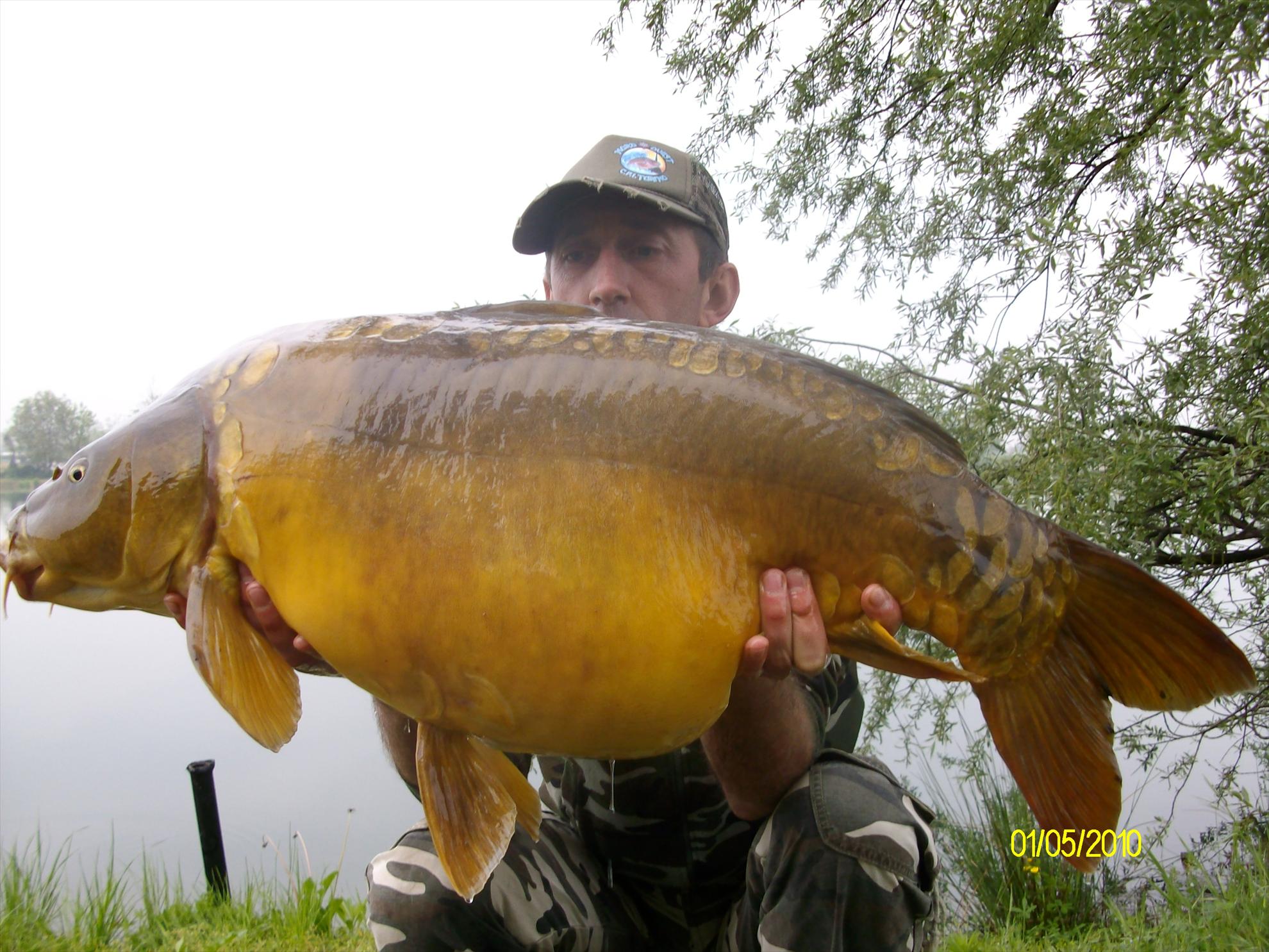 florian tanasa - una-specchio-bella.JPG